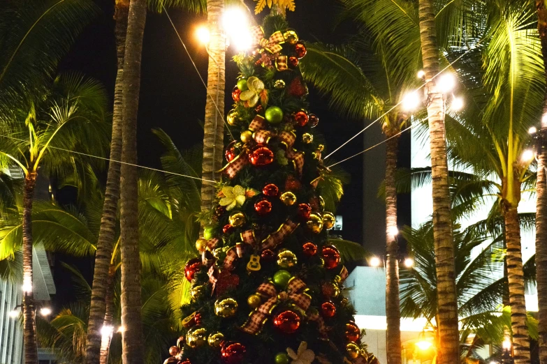 a christmas tree with a lot of different decorations