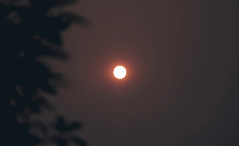 the sun seen through some trees during a foggy night