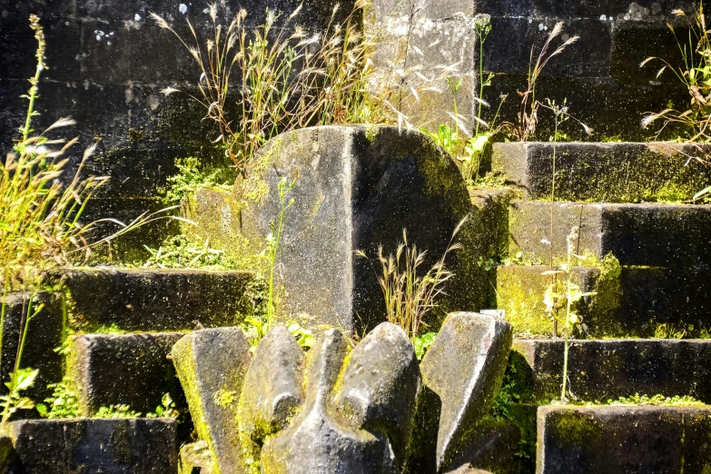 several rocks are standing in a garden and green plants have spiky grass