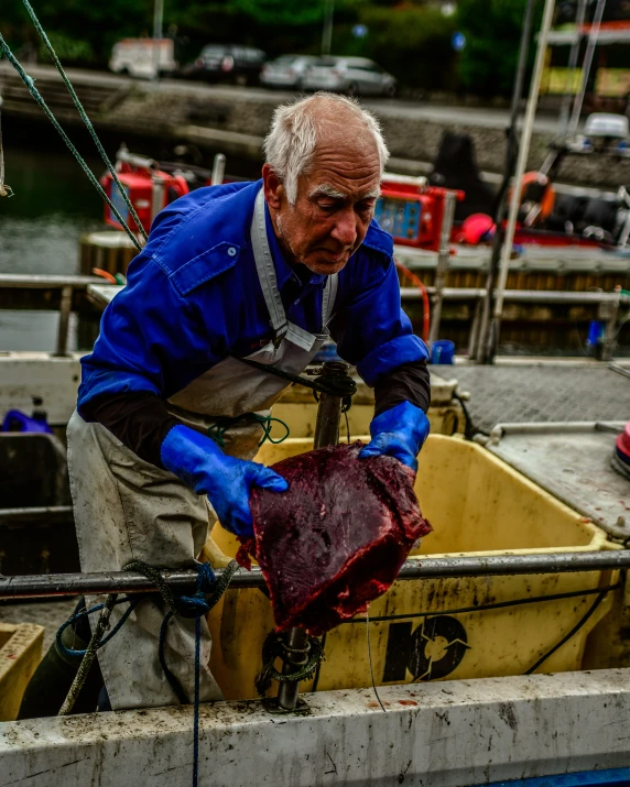 man tying up large fish on dock at harbor