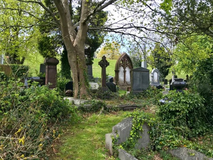 graveyard surrounded by trees and bushes