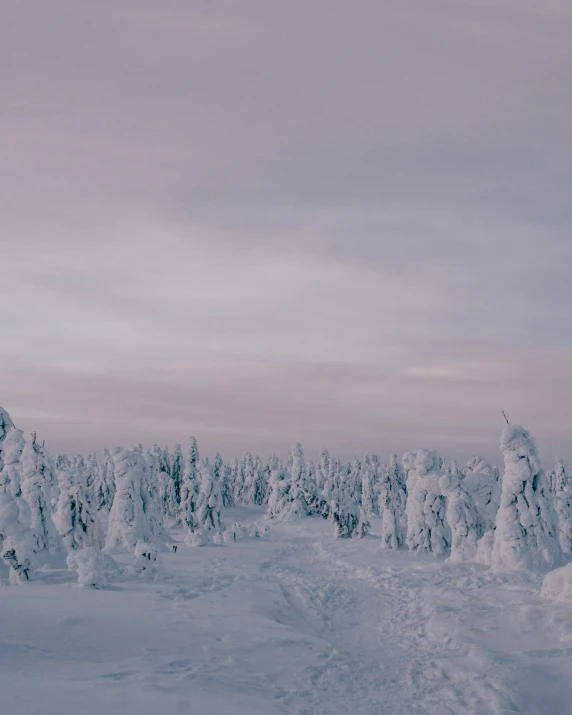 a man snowboard down the side of a hill