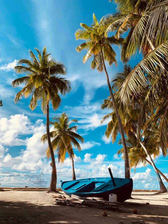 a boat and palm trees on the beach