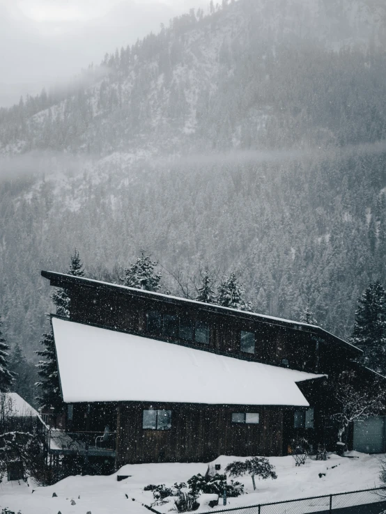 a house and trees covered in snow