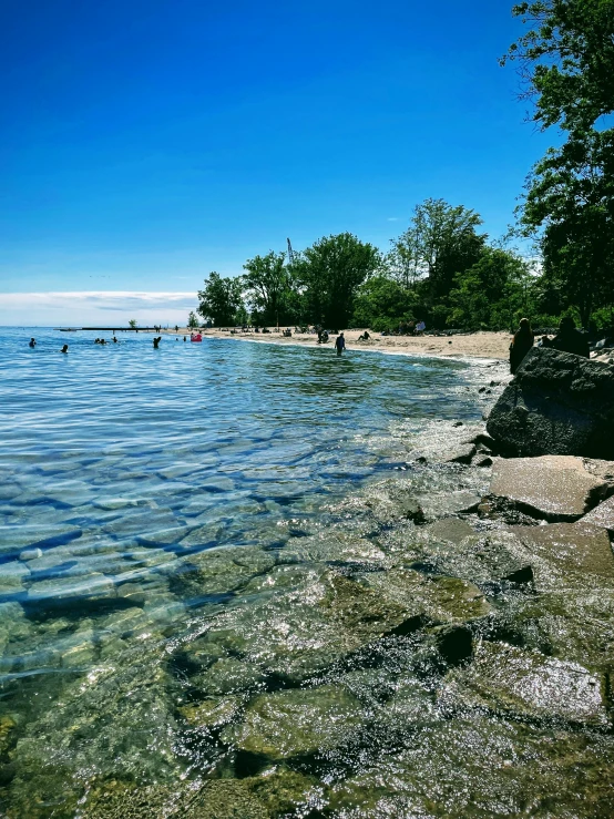 a body of water surrounded by trees