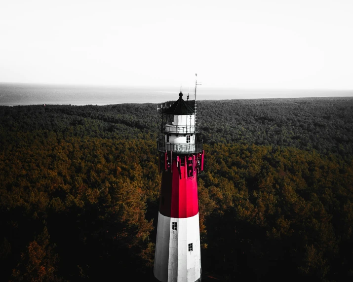 a red and white lighthouse surrounded by trees