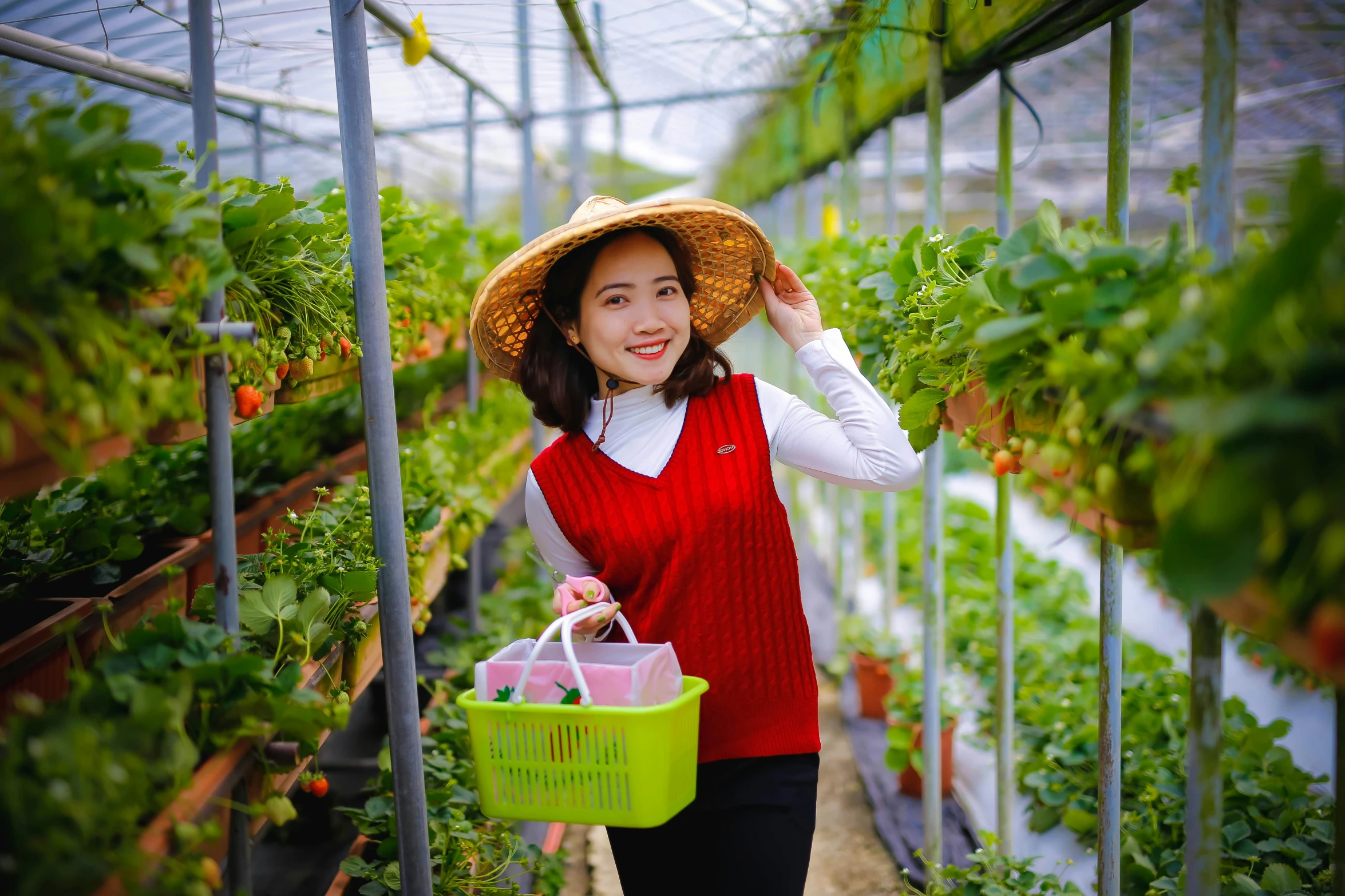 a woman with a straw hat is holding a green shopping basket in the middle of a greenhouse