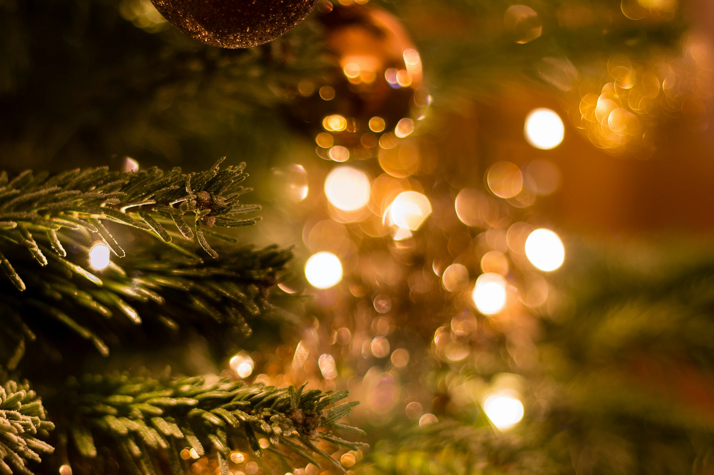 ornaments hanging from the nches of a tree