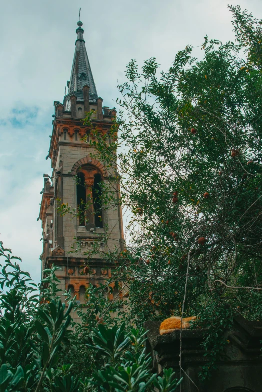 an old clock tower surrounded by leaves and trees