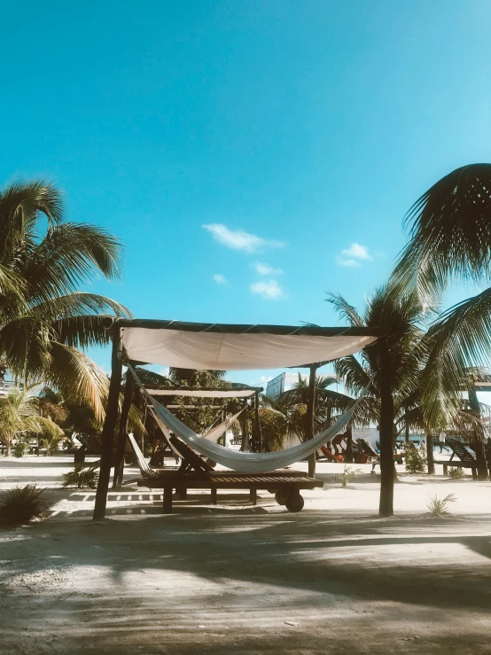 hammock under shade in front of palm trees