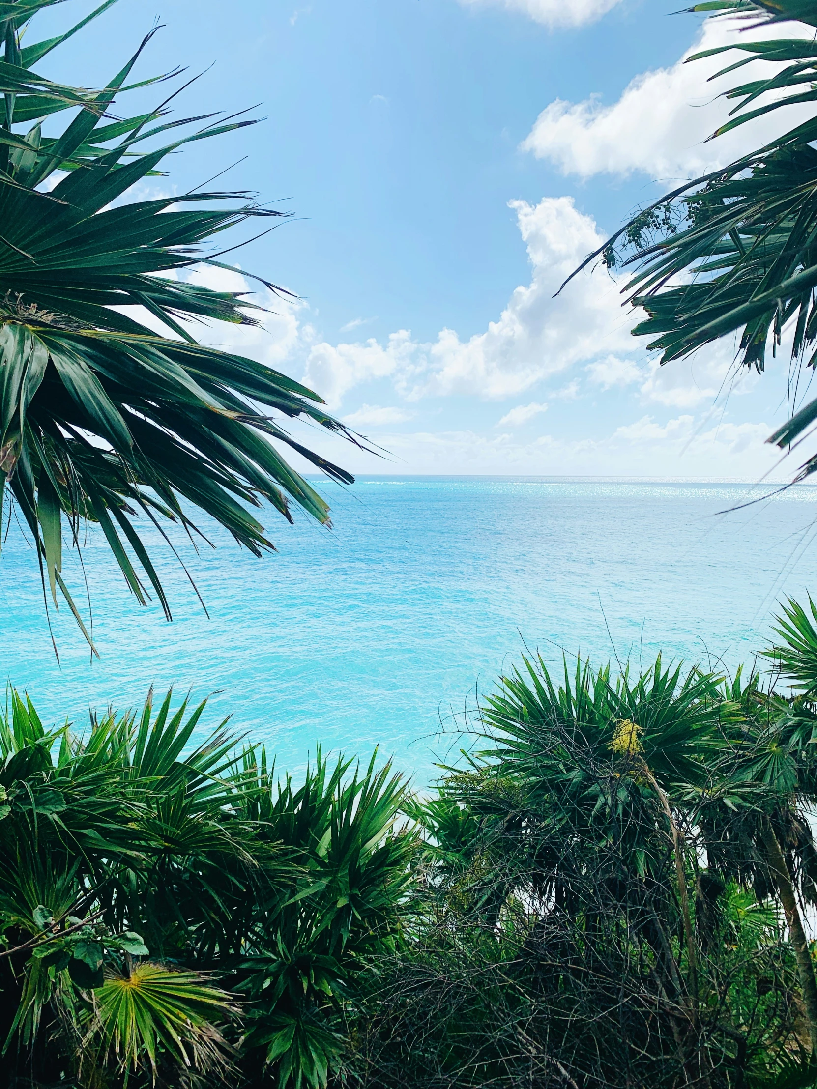 view of an ocean and the coast from above