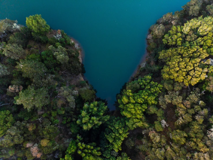 the top view of a lake surrounded by trees