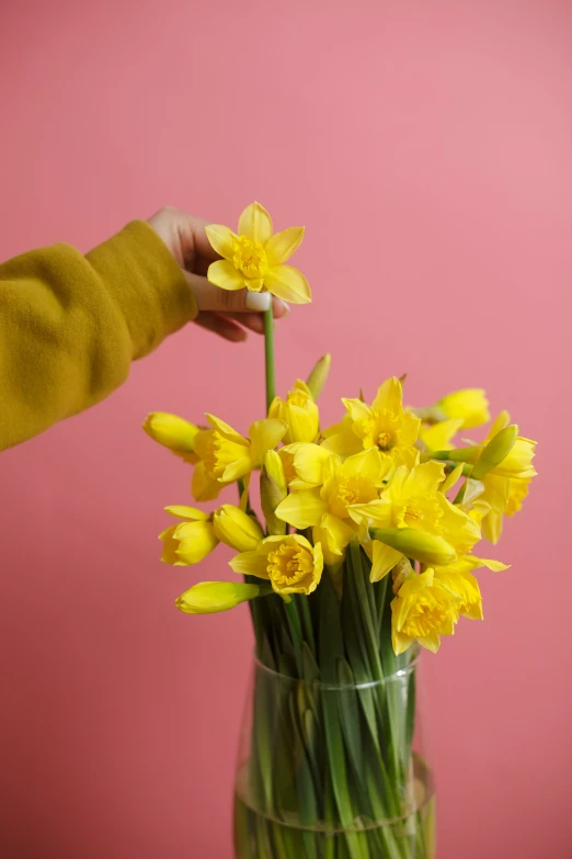a woman is grabbing down the stem of a vase full of yellow flowers