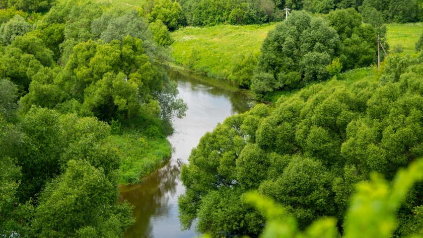 a river is running through the middle of a lush green landscape