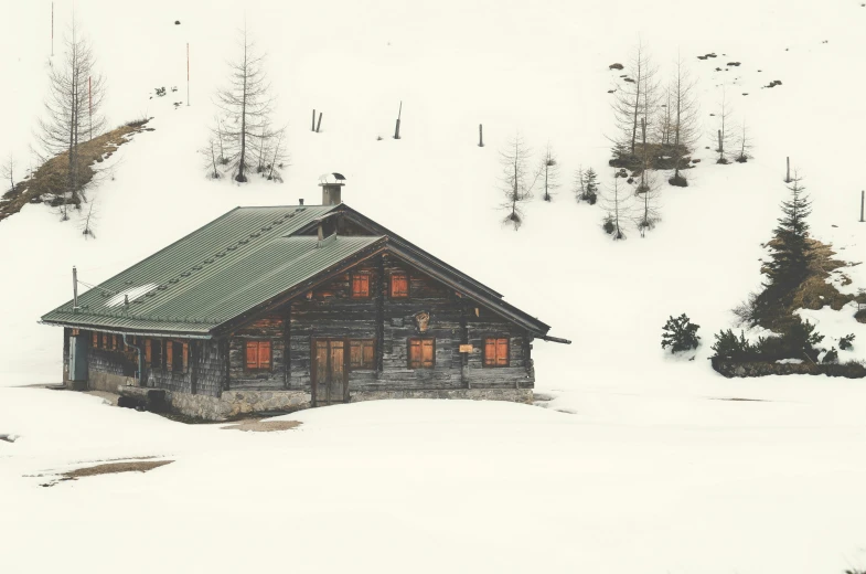 the cabin is surrounded by evergreens and snow