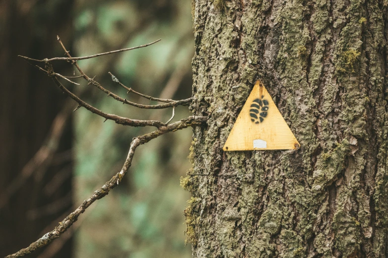 a triangle shaped wooden sign on a tree