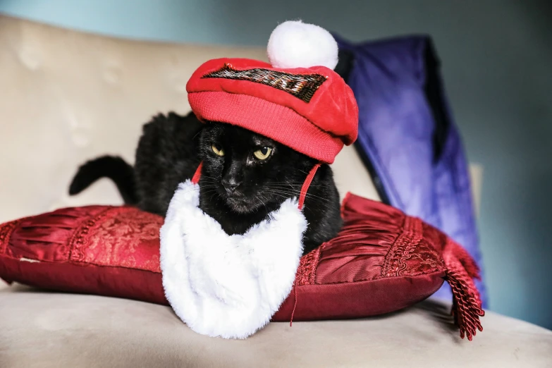 a black cat with a hat on and some pillows