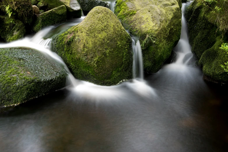 small stream of water tumbling over rocks covered in mossy moss