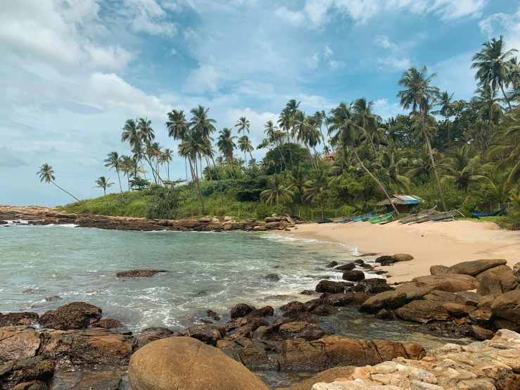 a sandy beach with palm trees and water