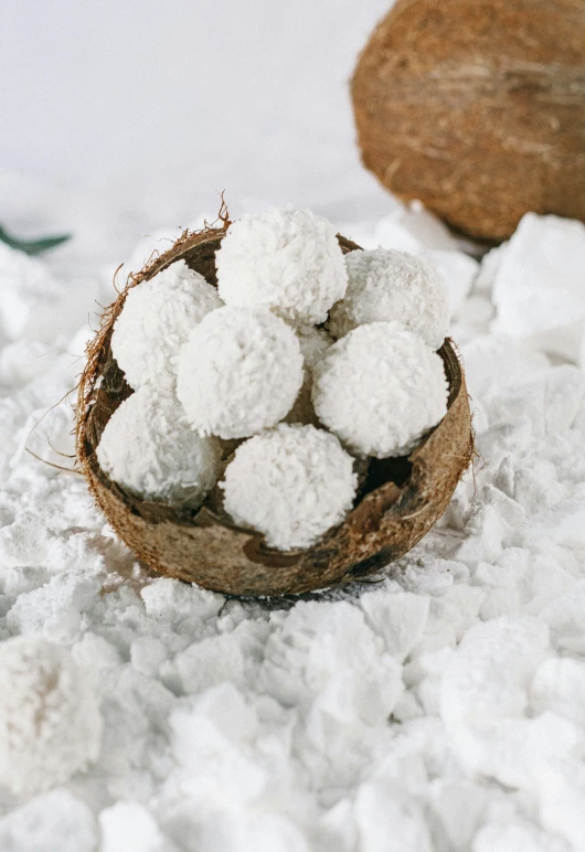 coconuts with their tops covered in snow in a coconut shell