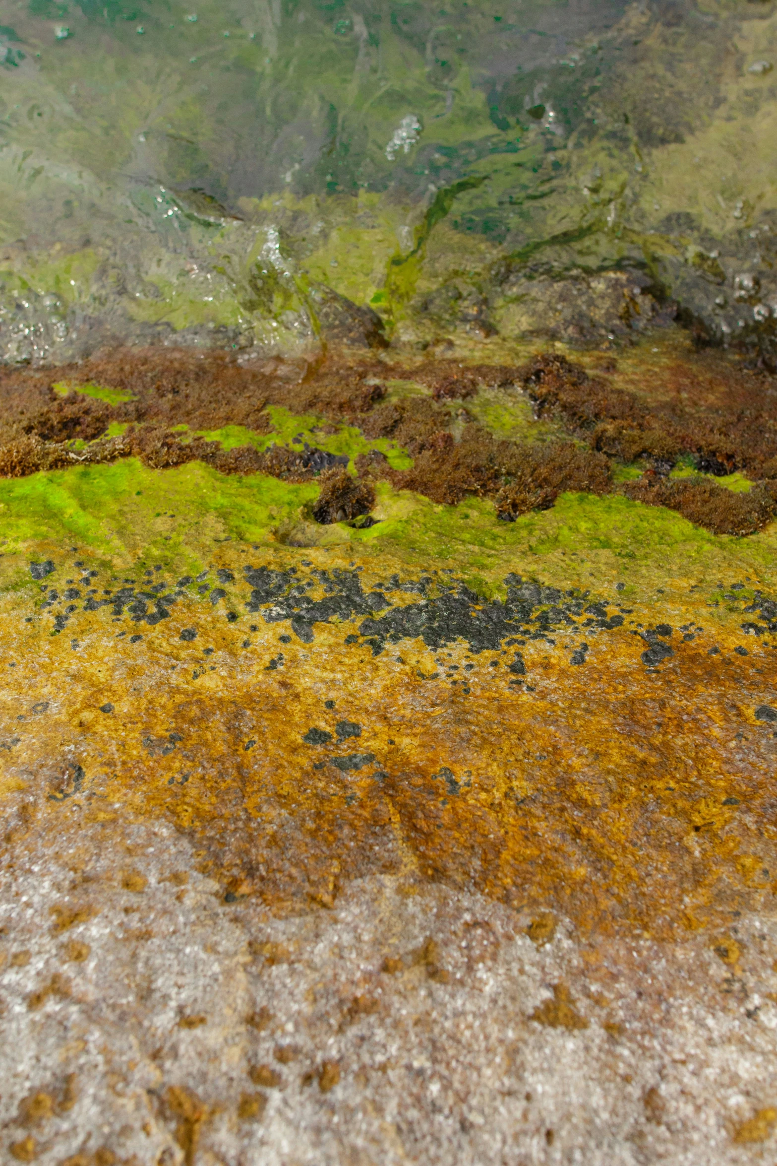 an aerial view of a hilly terrain with moss and lichen