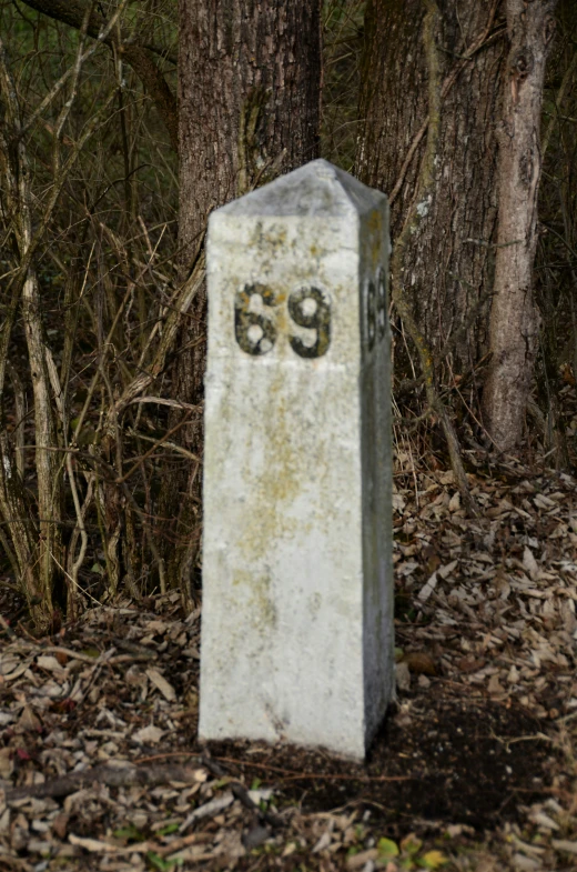 an old tombstone sitting in front of a tree