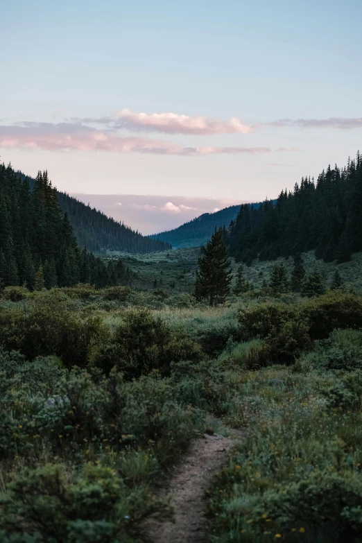 a dirt path cuts through a green, grass - filled valley at twilight