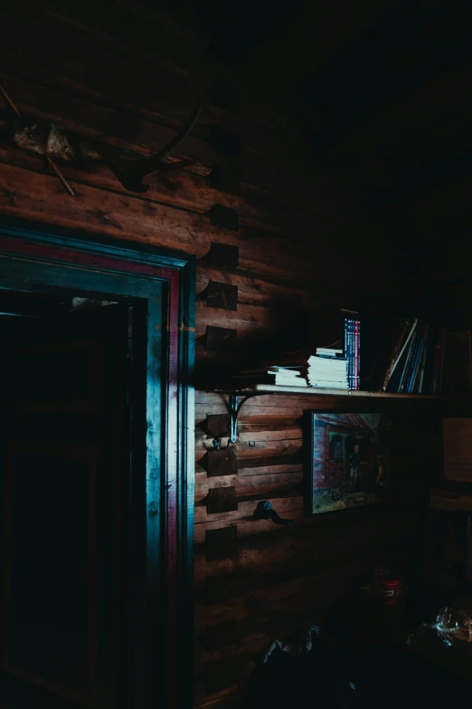 book shelves sitting on the wall of a wooden cabin