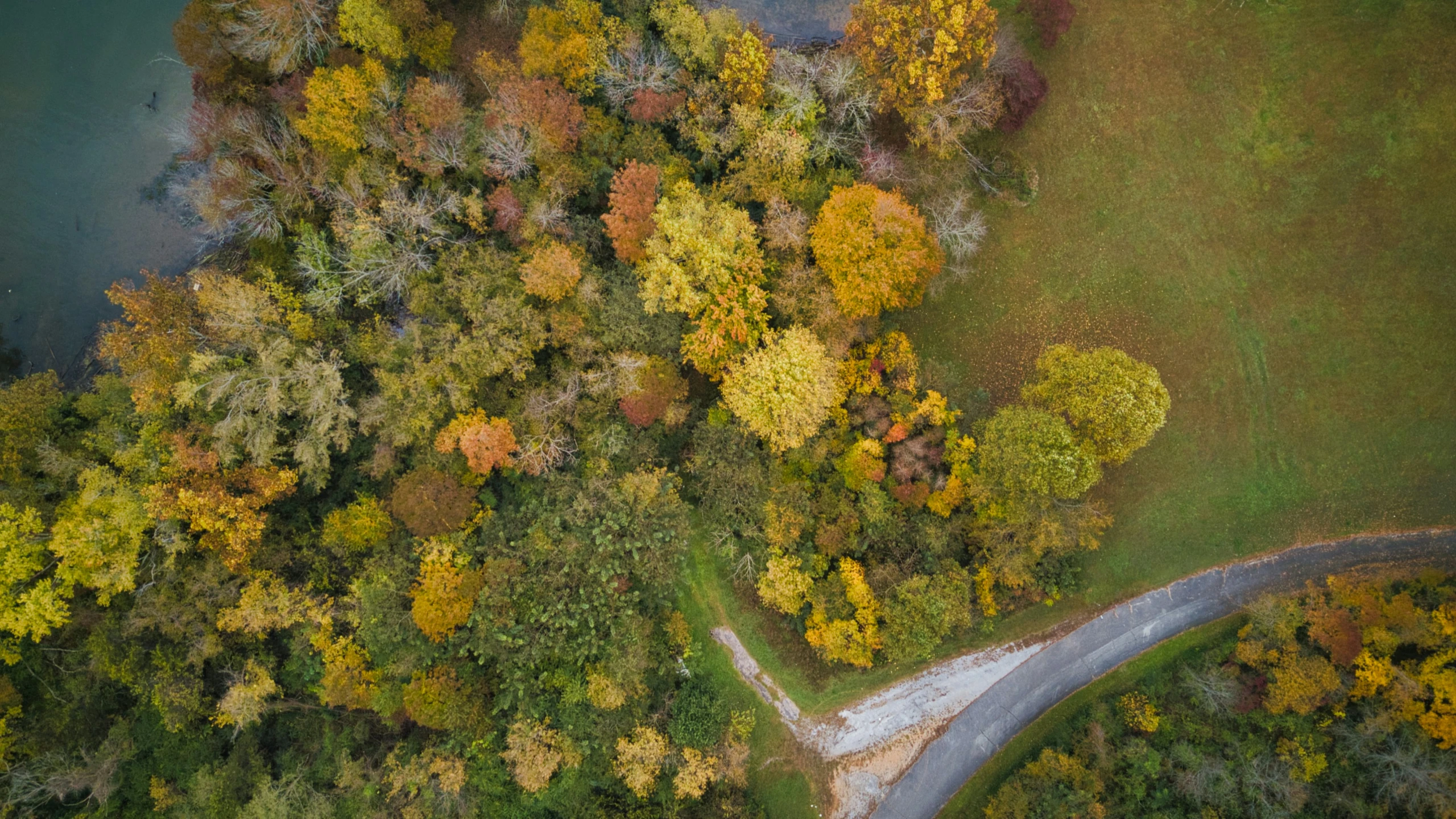 an aerial s of a winding highway near the water