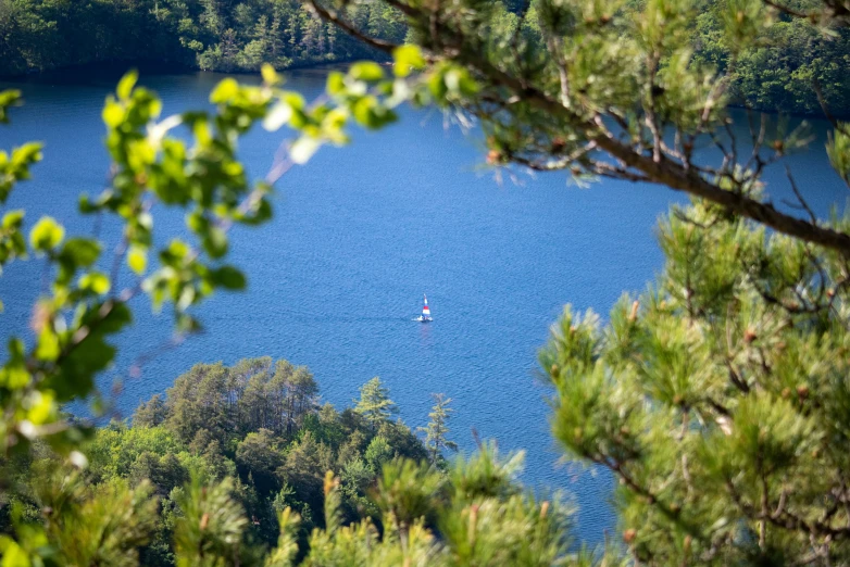 a boat is sailing down the lake surrounded by woods