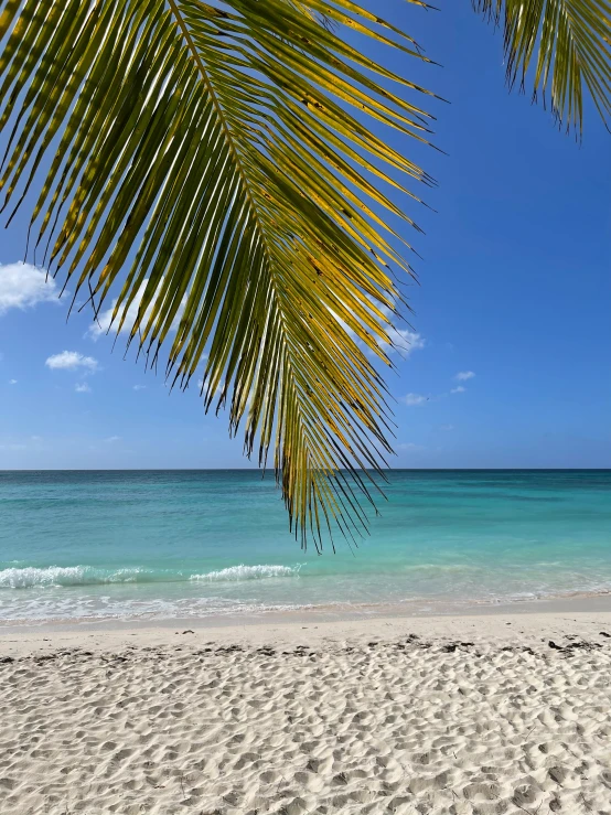 a beach with some white sand and blue ocean