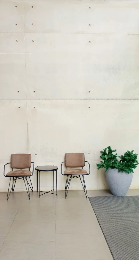 two chairs sitting side by side near a plant