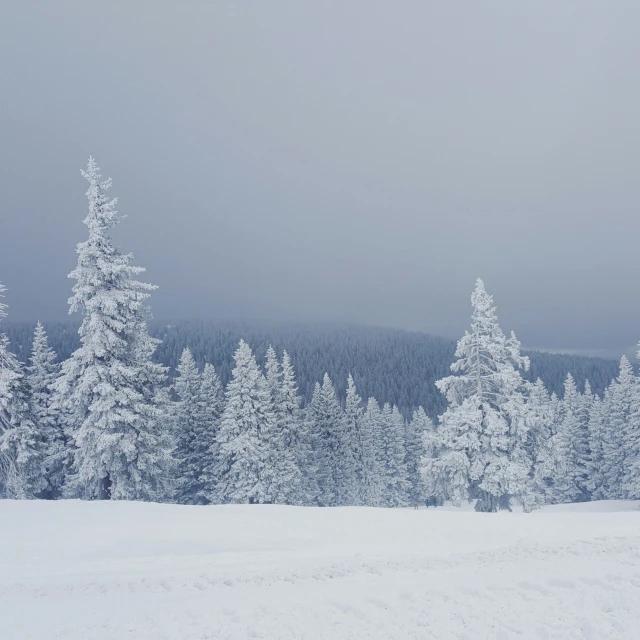 a person is walking through the snow with skis