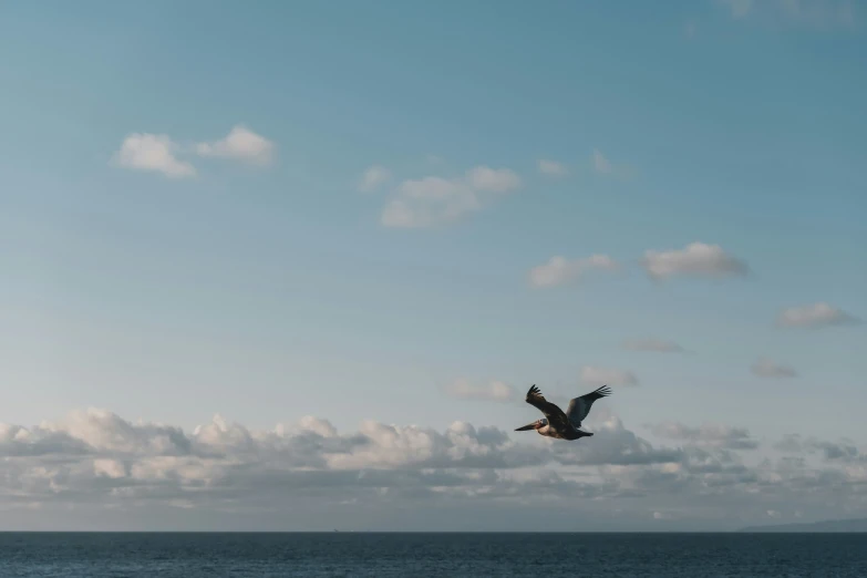 a bird flying over water with a cloudy sky in the background