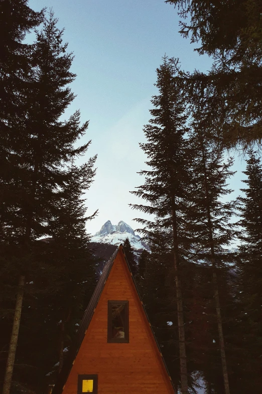 the sky is lit up in front of trees and cabin