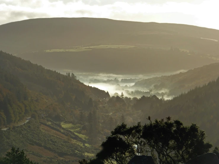 the hills and valleys are dotted with fog in the morning