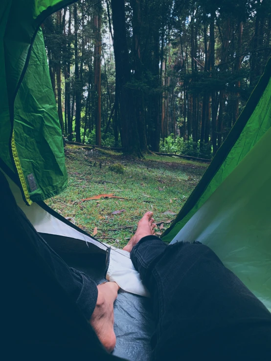 a person laying inside of a tent in a forest