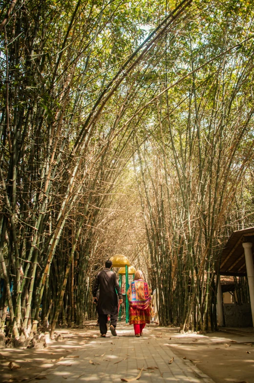a man and woman walking down a walkway between tall green trees