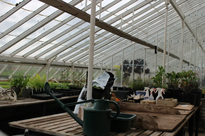 a green house filled with plants and tools