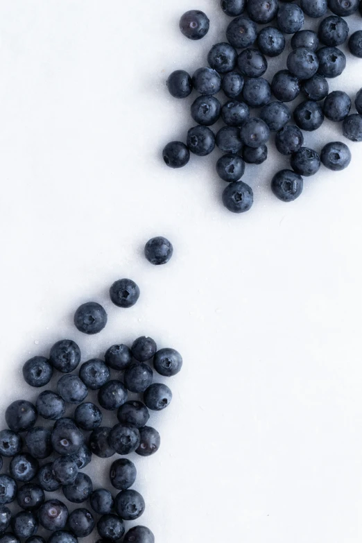 a pile of blueberries next to an apple slice