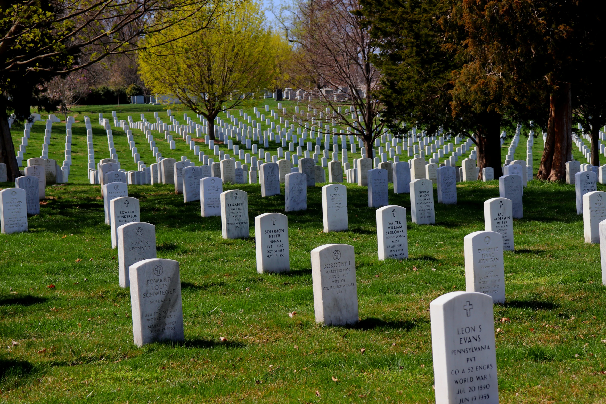 rows of headstones at a cemetary with trees in the background