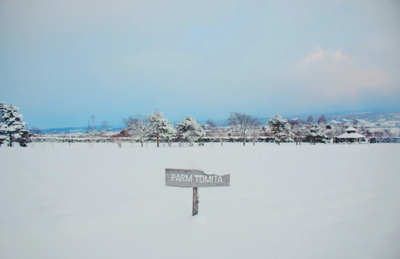 a sign in the middle of the snow near a forest