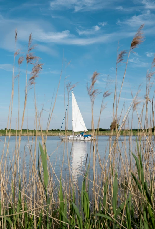 there is a sail boat that is in the water