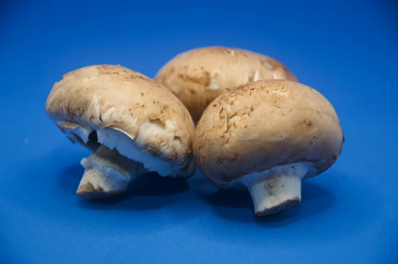 the brown mushrooms are sliced and uncooked