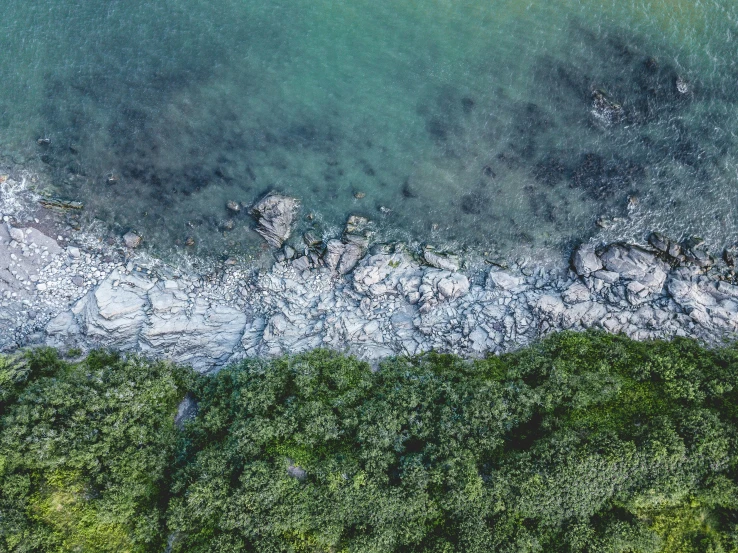 a beach area with trees and blue water