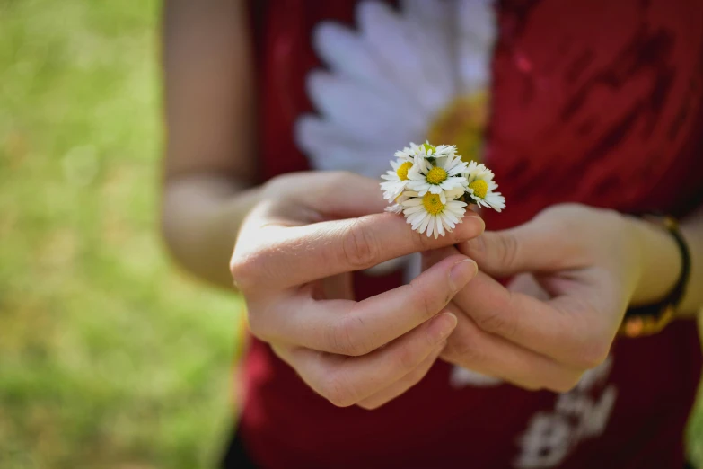 a person holding a small white and yellow flower