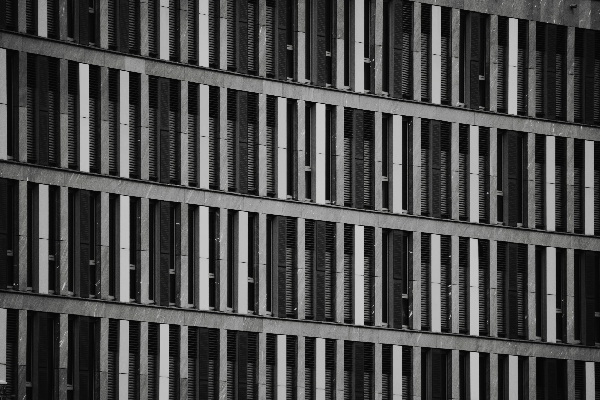 black and white pograph of windows in a building