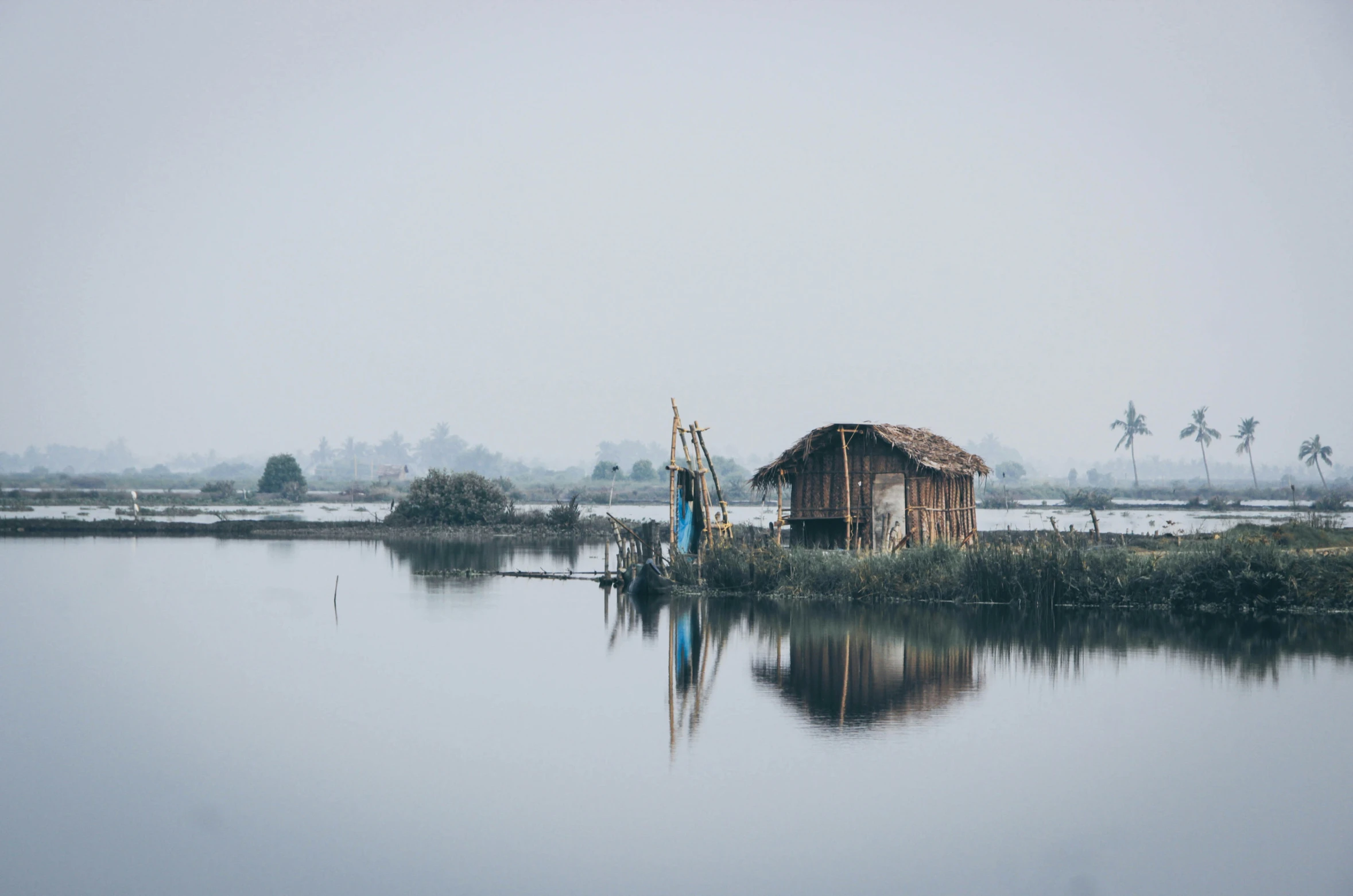 the foggy morning is coming in from the ocean