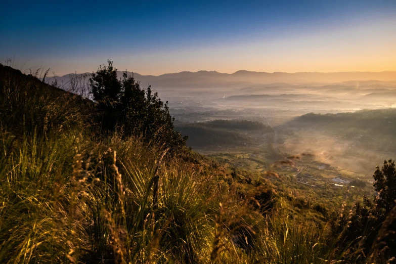 an evening view from the top of the hill