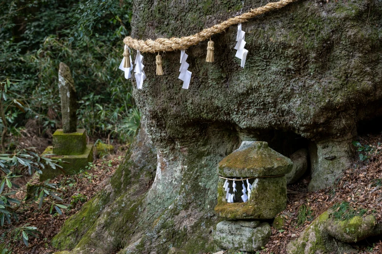 a mossy cave with a hanging decoration